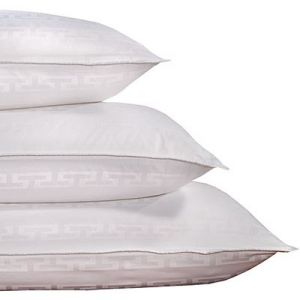  Polyester Cushion