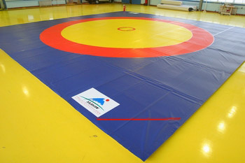  wrestling mat (wrestling mat)