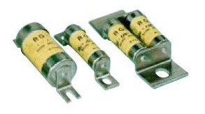  RGS Series Fuse (RGS Series Fuse)