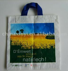  Paper Gift Bag ( Paper Gift Bag)