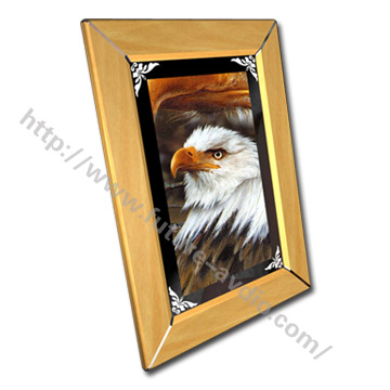 Digital Photo Frame (Digital Photo Frame)