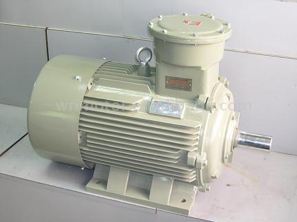  YB2 Series Explosion-Proof Induction Motor (Yb2 серии взрывов-Proof Induction Motor)