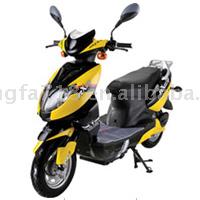  Electric Bike ( Electric Bike)