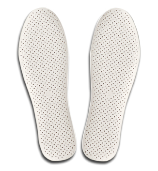 Far infrared & anion healthy shoe pads (Infrarouge anion pads chaussure saine Extrême)