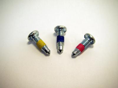 NYLON PATCH SCREW