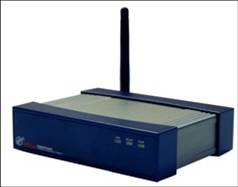 PowerPresent-PPS100,PPS200--Wireless Projector(suit for Video,PDA)