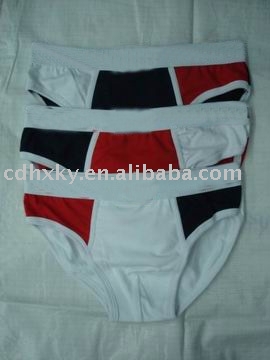 brand fashion underwear (brand fashion underwear)