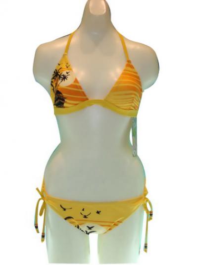 Ladies` Bikini (Ladies` Bikini)