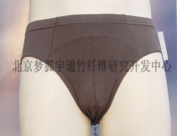 man`s briefs (man`s briefs)