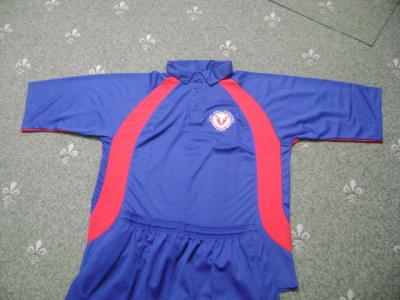 Cricket Jersey (Cricket Jersey)