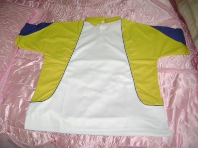 Cricket Shirt (Cricket Shirt)