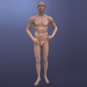 Male Mannequin (Männlich Mannequin)