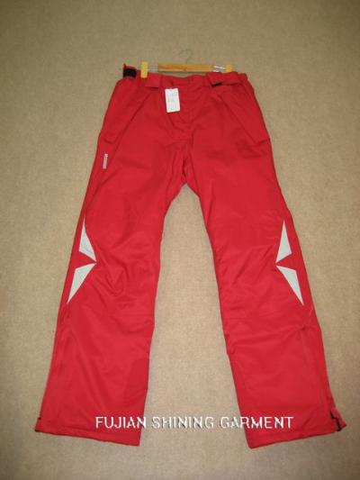 ski pants (Pantalon de ski)