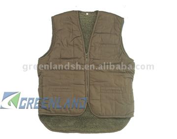 Vest (Вести)