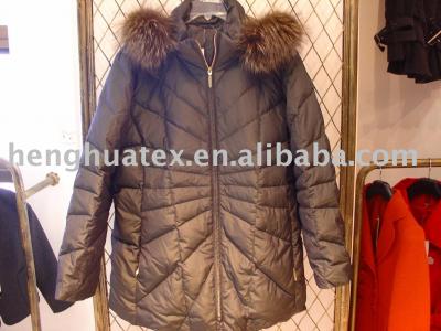 Women `s Winter Coat (Women `s Winter Coat)