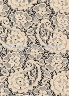 lace fabric (dentelle en tissu)