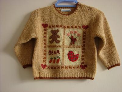 Children`s Sweater (Children `s Sweater)