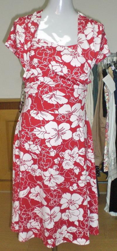 ladies` dress (ladies` dress)