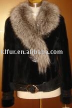 blue fox coat (Blue Coat Fox)