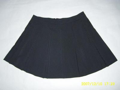 Ladies` skirt (Ladies` skirt)