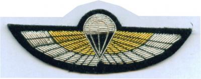 Bullion Embroidery Military Uniform Wings (Bullion Вышивка Военная форма крыльях)