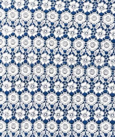 All over embroidery fabric lace (All over embroidery fabric lace)