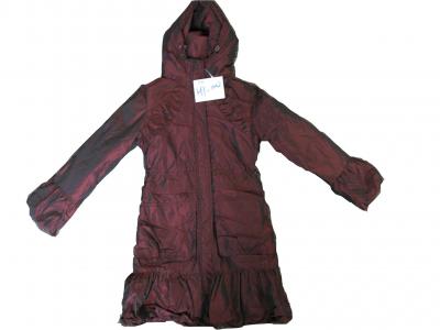 Ladies `100% Polyester Padding Jacket (HY-1002) (Ladies `100% Polyester Padding Jacket (HY-1002))