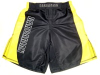 Ultimate FIGHT SHORTS (Ultimate FIGHT SHORTS)