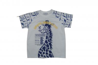 boy`s t-shirt (boy `s t-shirt)