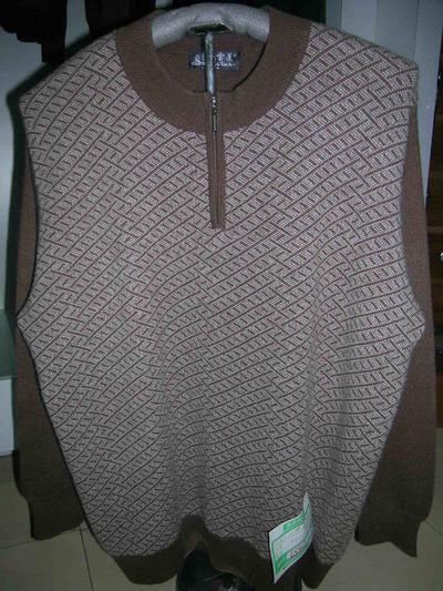 Cashmere Pullover (Cashmere Pullover)