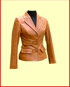 Ladies Coat (Ladies Coat)