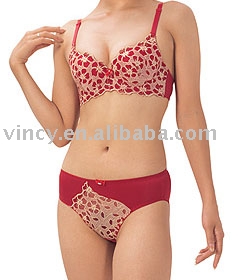 Ladies` Underwear set (Ladies` Underwear set)