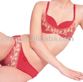 Ladies` Underwear set (Ladies` Underwear set)