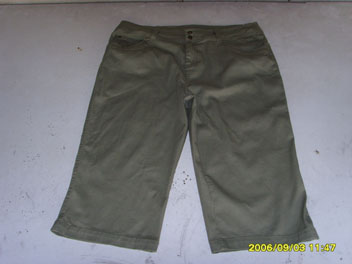 Ladies `s Cotton Pants (Ladies `s Cotton Pants)