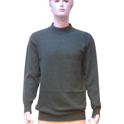 Fs-M-019 Men`s Sweater (FS-M-019 pour hommes Chandail)