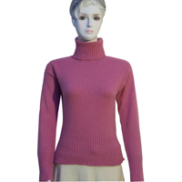 Damen Pullover 110 (Damen Pullover 110)