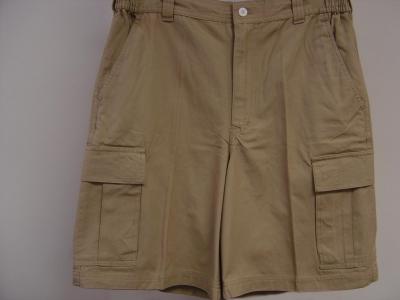 Men Hiking Shorts (Men Wandern Shorts)