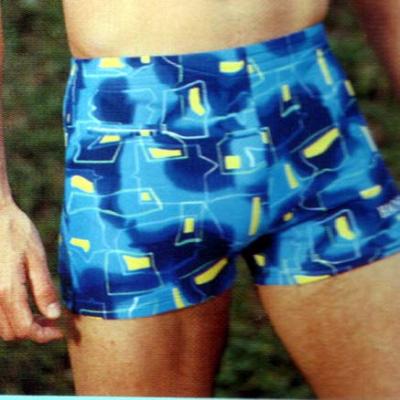 Boy`s Swimming Trunk (Boy `s Swimming Trunk)