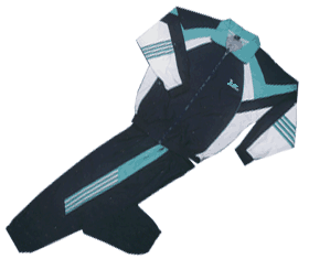 Men `s 100% Polyester Micro Track Suit (Men `s 100% Polyester Micro Track Suit)