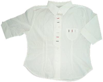 T/C Embroidery Blouse (T / C Stickerei Bluse)