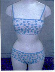 Ladies` Underwear Sets (Ladies` Underwear Sets)