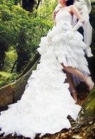 Ladies White Wedding Dress (Ladies White Wedding Dress)