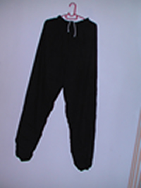 Taiji Wushu Pants