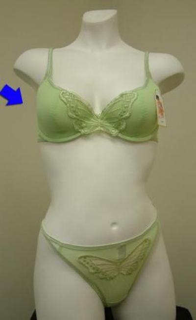 Exquisite Bra Panty Set (Exquisite BH Panty Set)