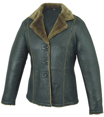 Ladies Fashion Jacket (Ladies Fashion Jacket)