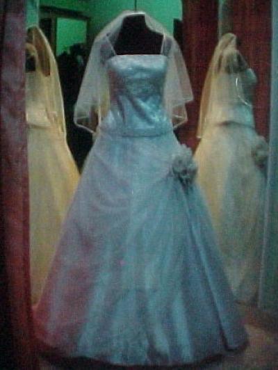 Wedding Gown Collections (Wedding Gown Collections)