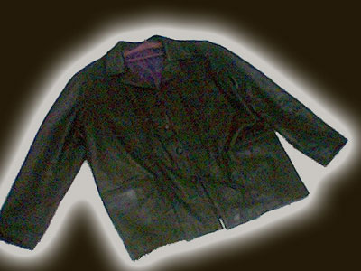 Leather Jacket (Veste en cuir)