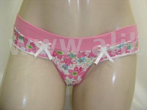 Women`s Panties (Women `s Panties)