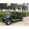 electric Golf Cart(DS-GF09) (electric Golf Cart(DS-GF09))