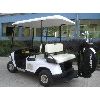 Benzin Golf Cart (DS-GGF06) (Benzin Golf Cart (DS-GGF06))